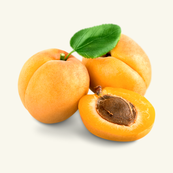 APRICOT