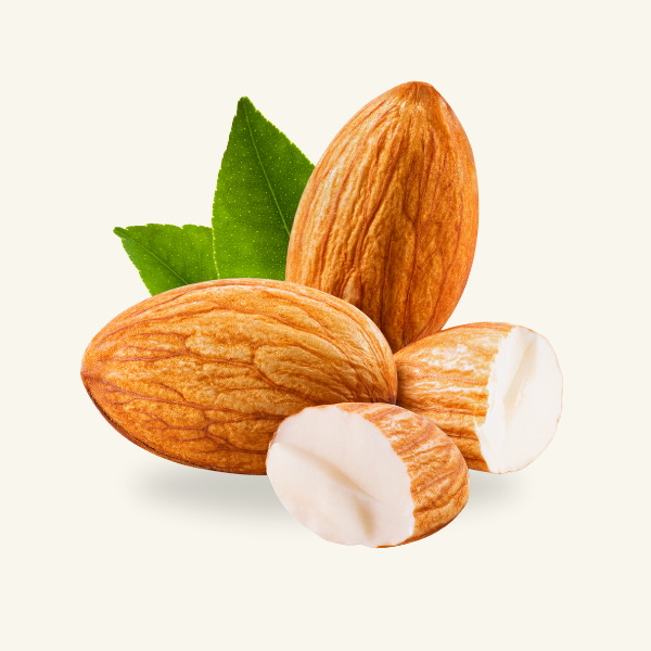 ALMOND