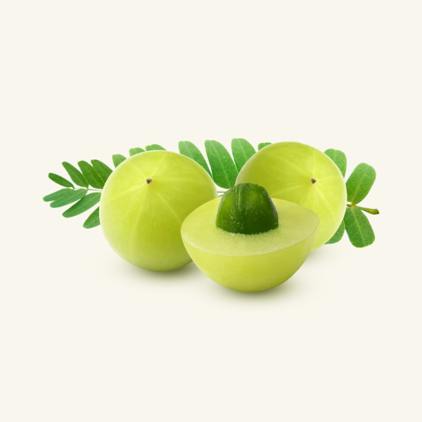AMLA
