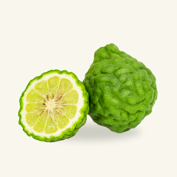 BERGAMOT