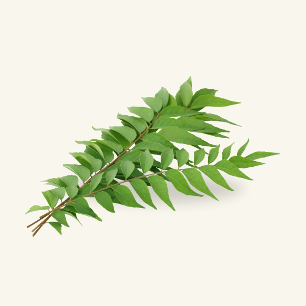 CURRY LEAF