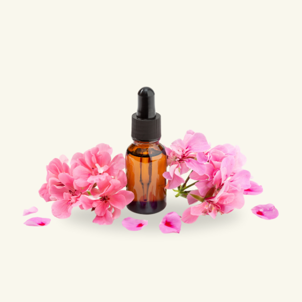 GERANIUM