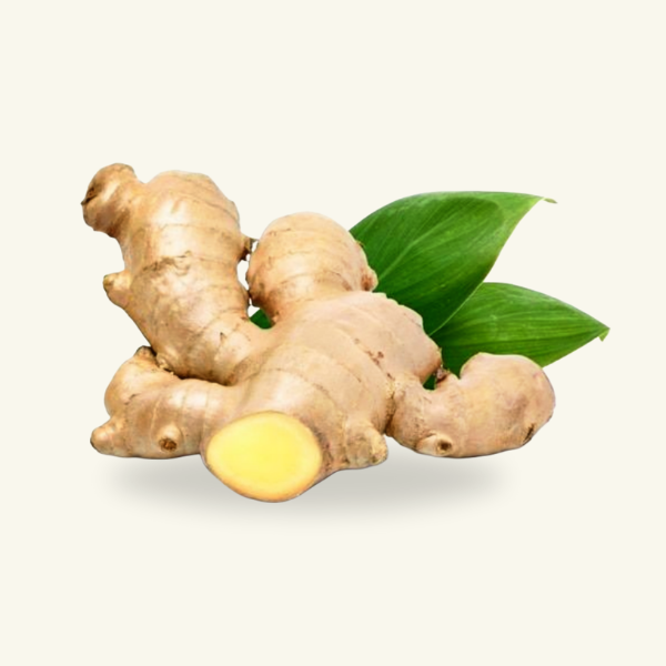 GINGER