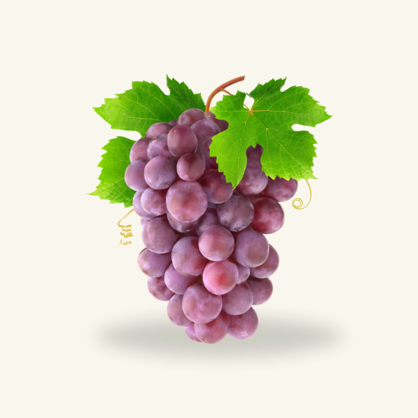 GRAPE