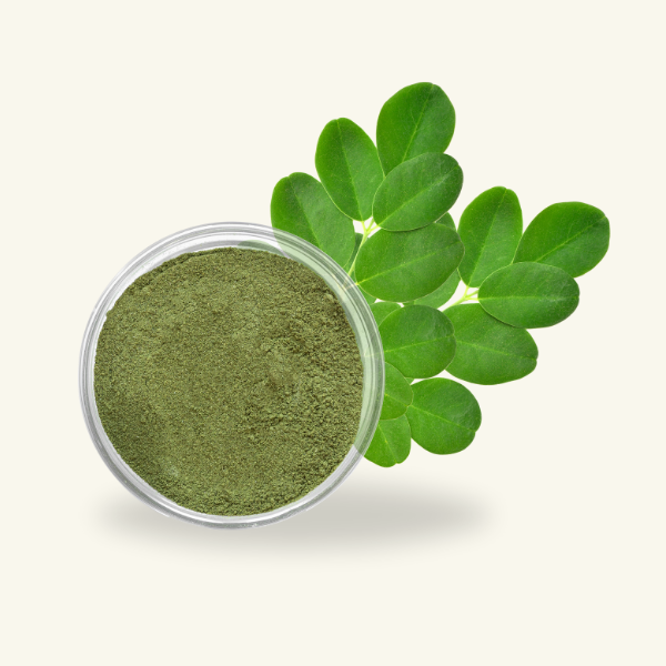 MORINGA LEAF