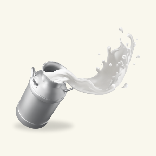 MILK