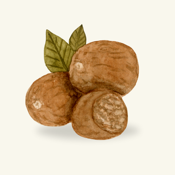 NUTMEG