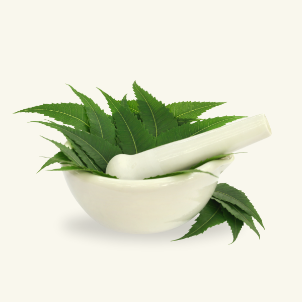 NEEM