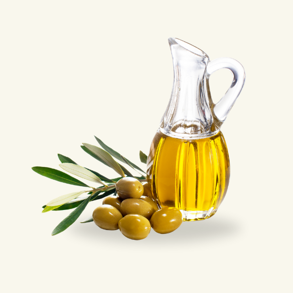 OLIVE OIL
