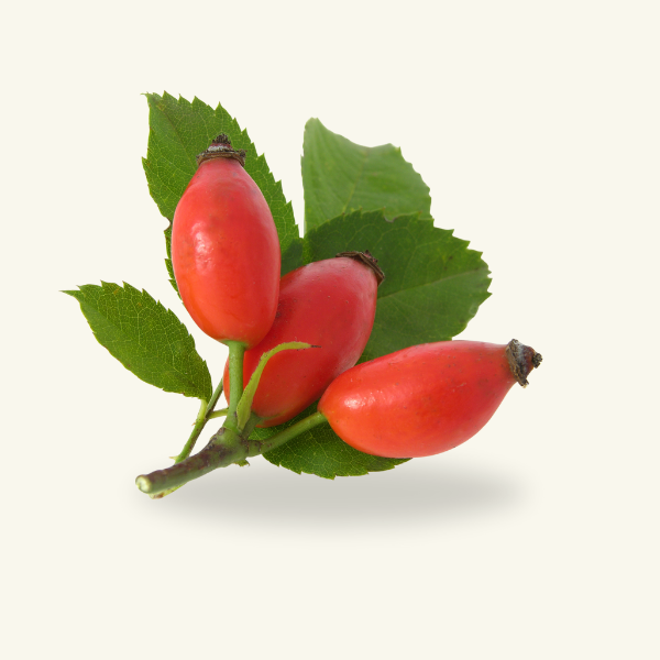 ROSE HIP