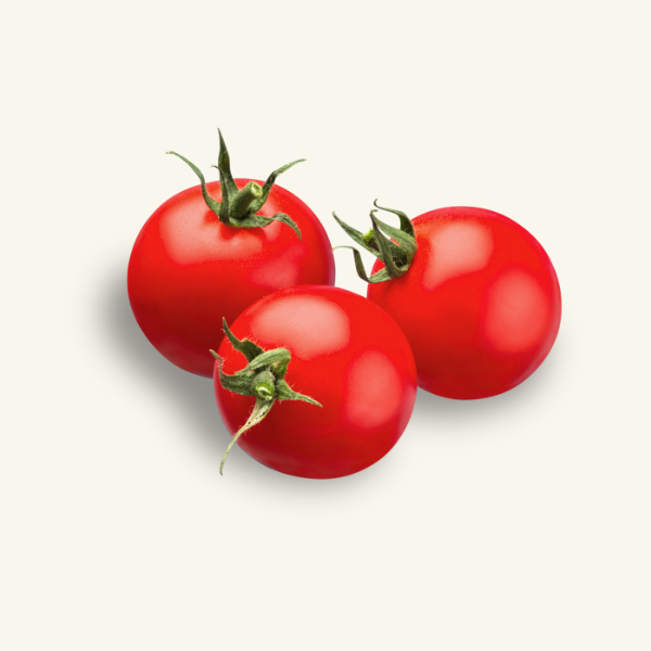 TOMATO