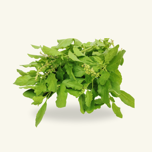 TULSI
