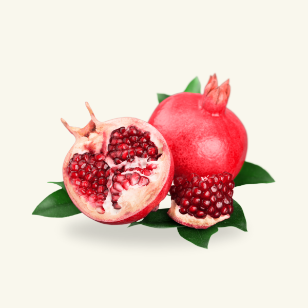 ANAR