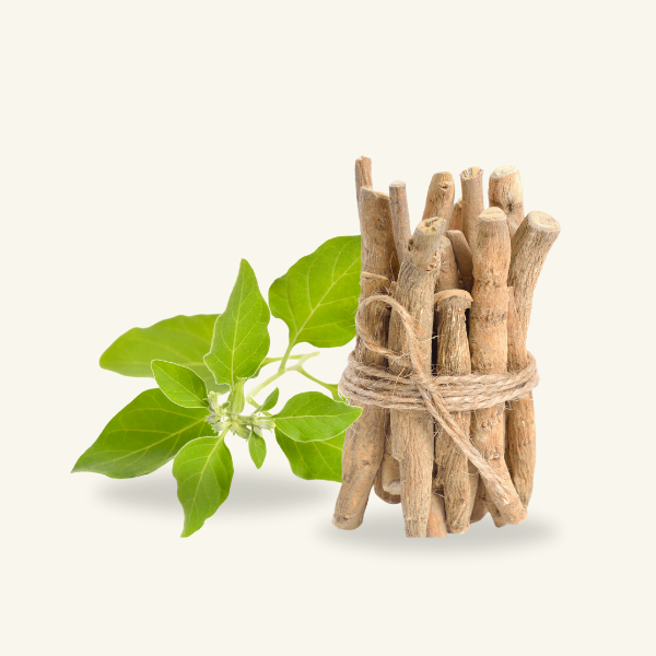 ASHWAGANDHA