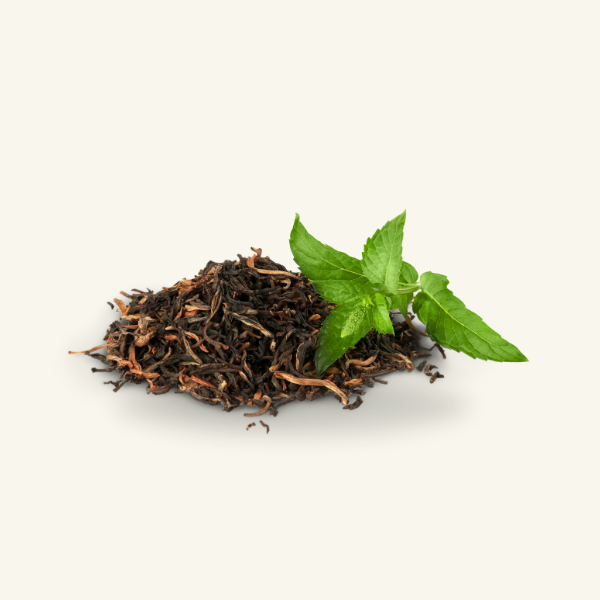 GREEN TEA