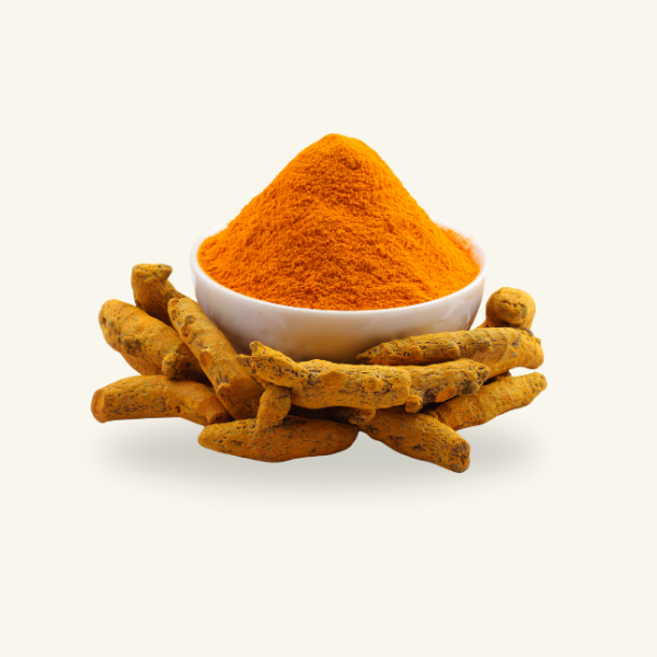 WILD TURMERIC