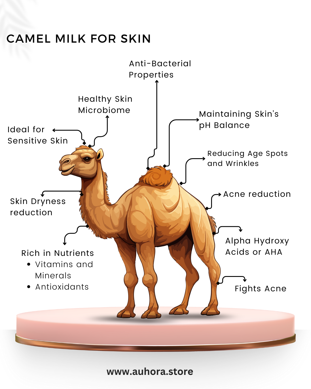 Auhora Aloe Vera Camel Milk Soap