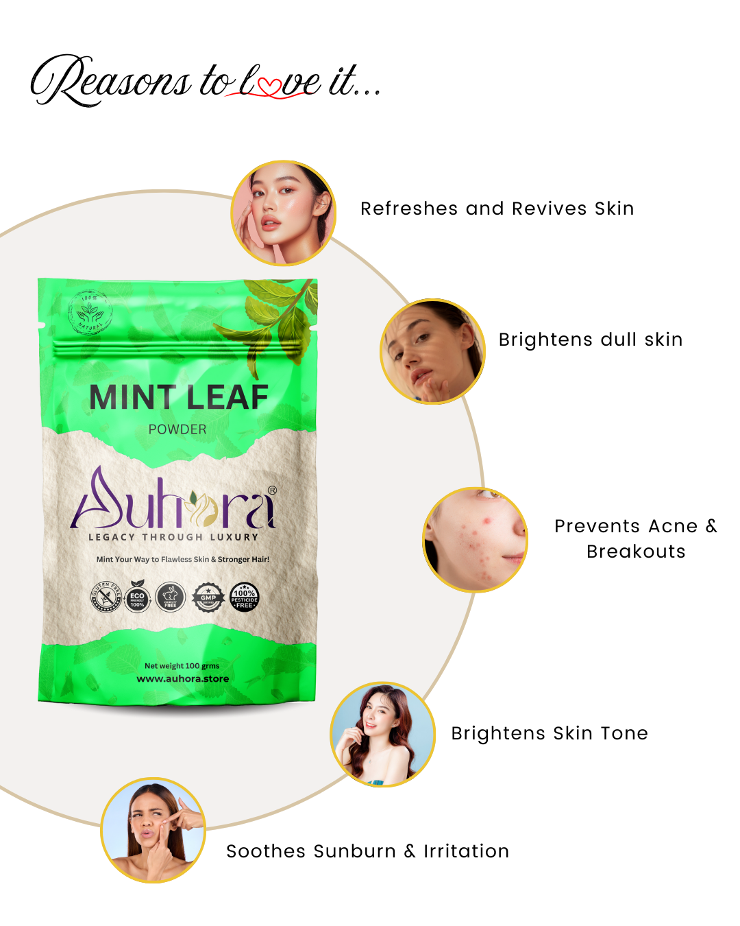Auhora Mint Leaves Powder