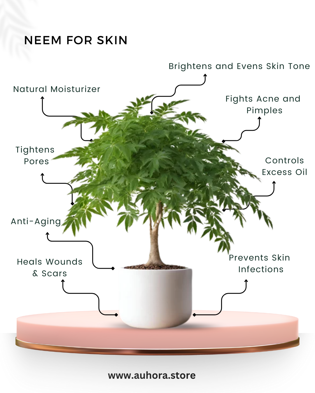 Auhora Neem Tulsi Camel Milk Soap