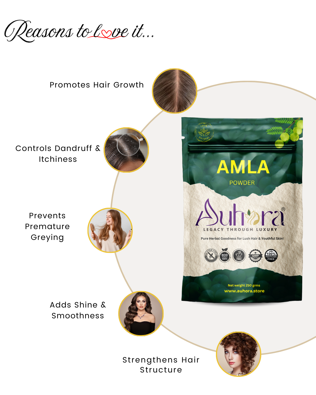 Auhora Amla Powder