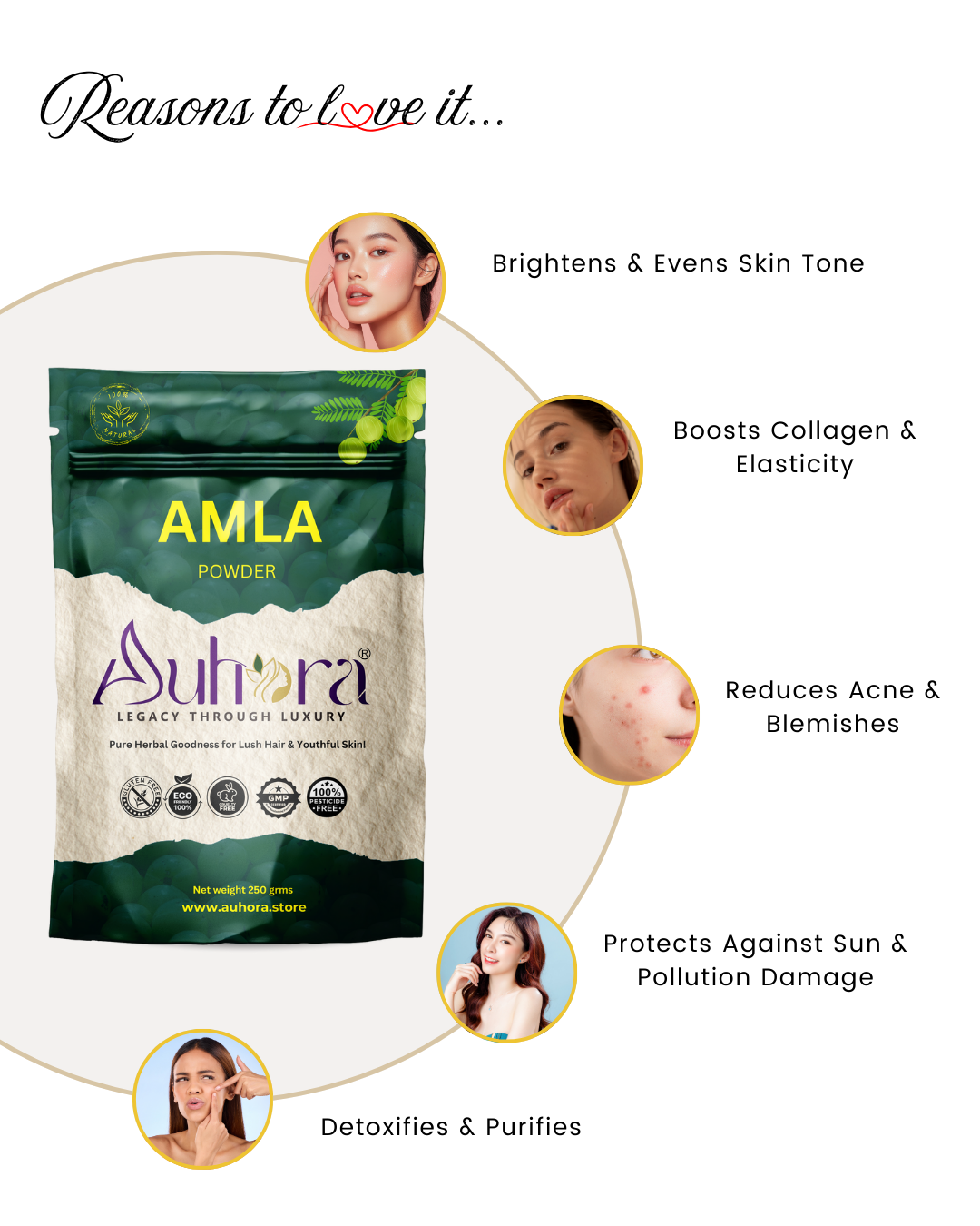 Auhora Amla Powder